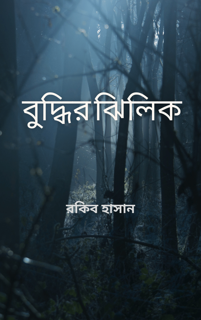 বুদ্ধির ঝিলিক